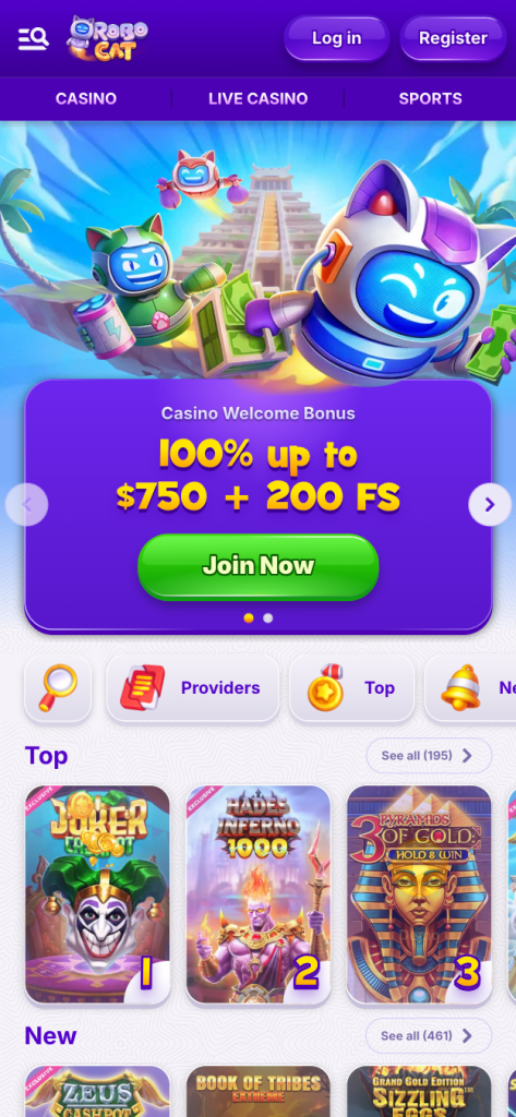 RoboCat Casino Interface