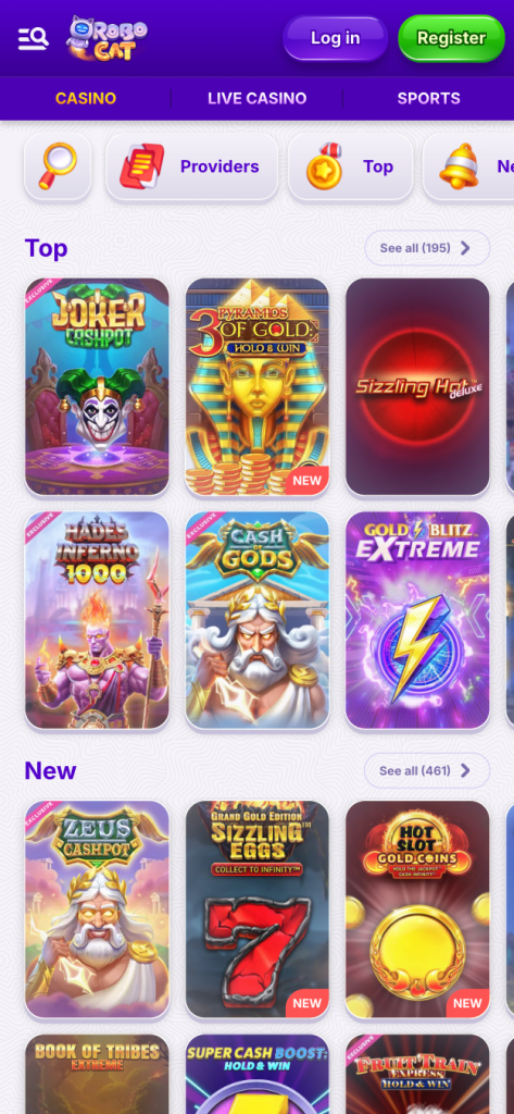 RoboCat Casino Interface